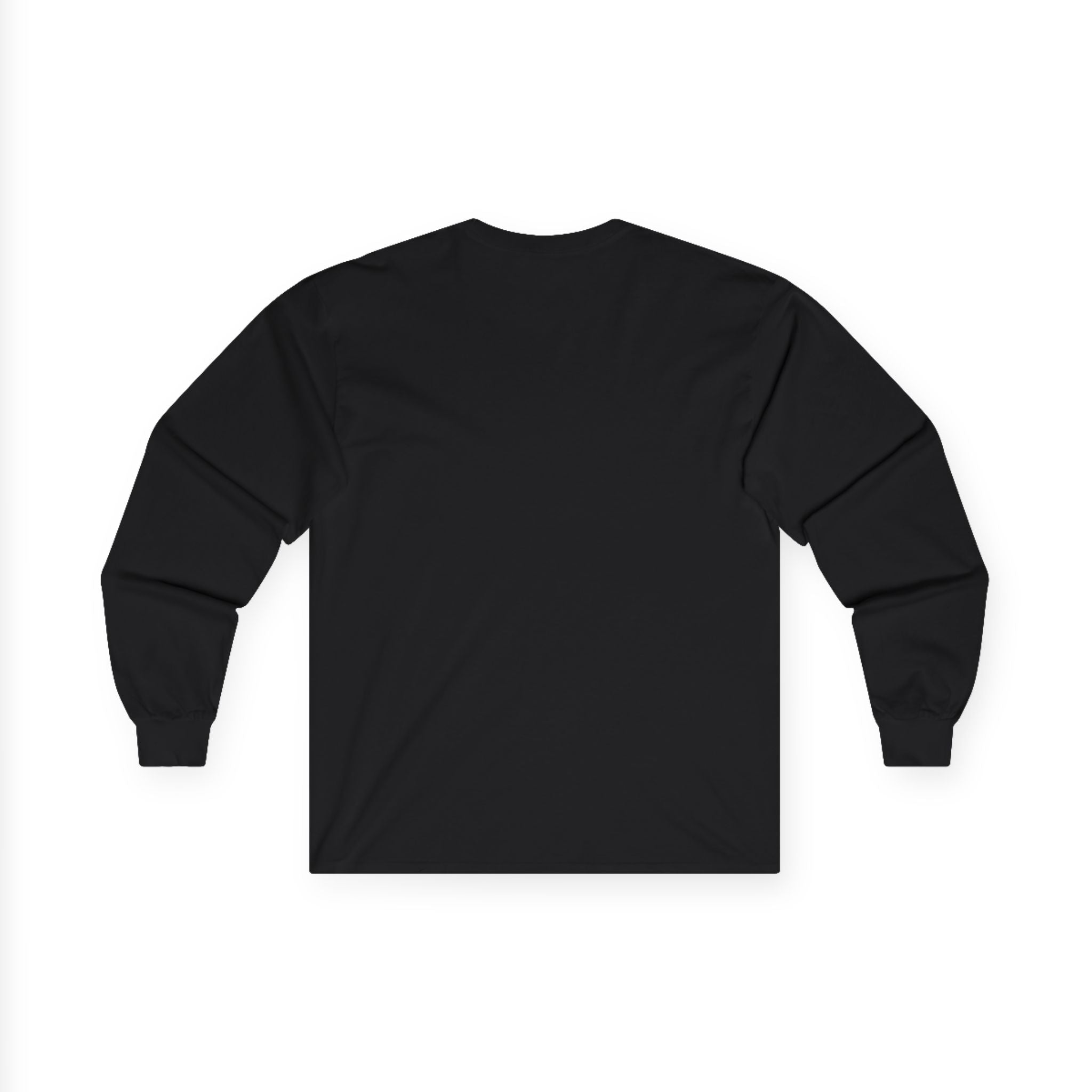 Flat Earth Theory - Long Sleeve Shirt